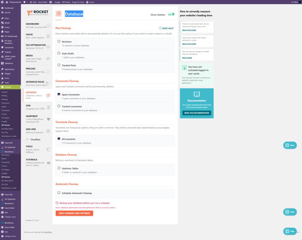 WP Rocket DataBase Settings Page