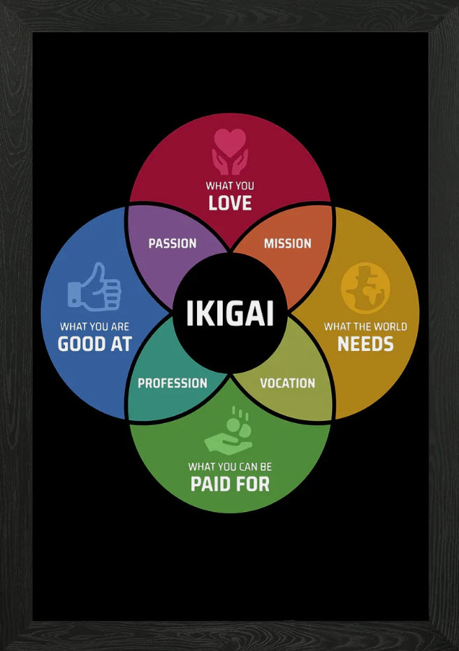 ikigai test​
